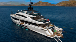 BALMY-YÜZME-MERDİVENİ